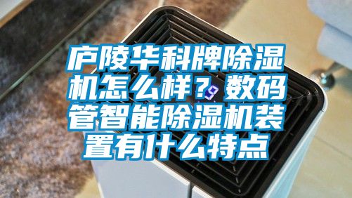欧美黄色性爱视频网站 庐陵华科牌除湿机怎么样？数码管智能除湿机装置有什么特点