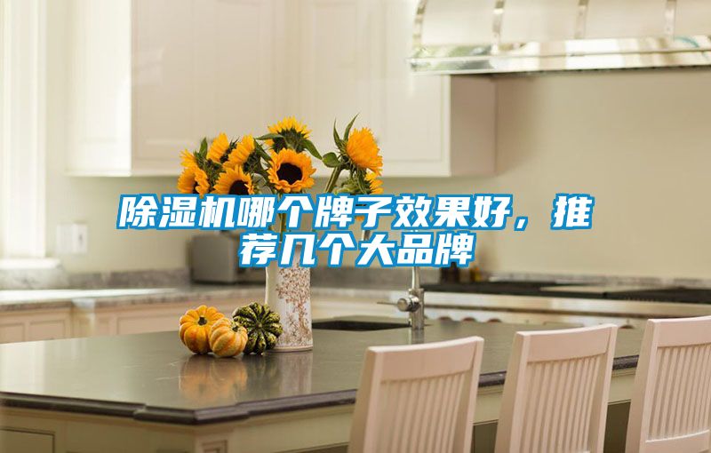 欧美黄色性爱视频网站 除湿机哪个牌子效果好，推荐几个大品牌