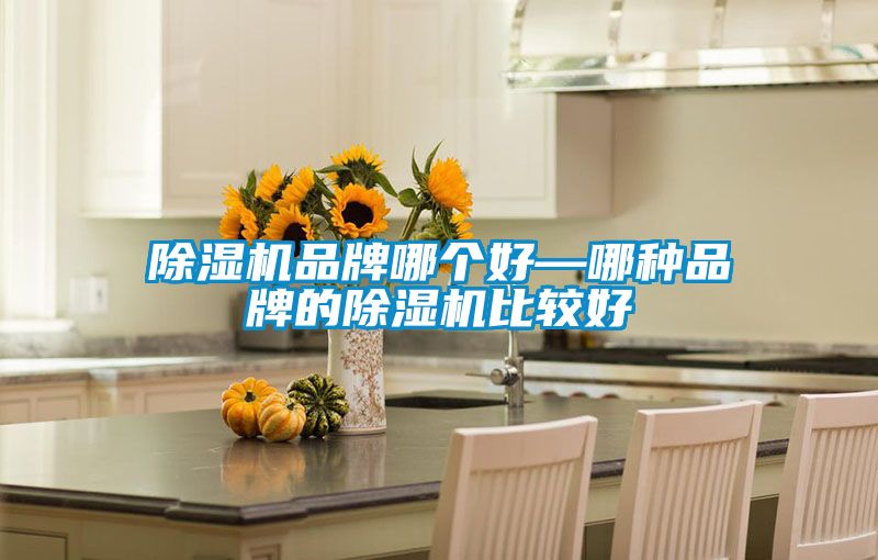 欧美黄色性爱视频网站 除湿机品牌哪个好—哪种品牌的除湿机比较好