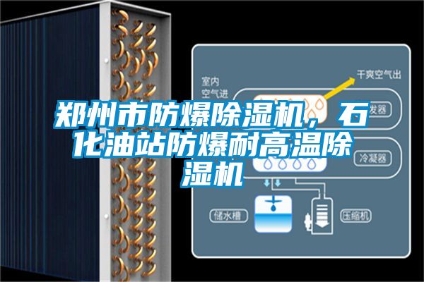 欧美黄色电影在线播放 郑州市防爆除湿机，石化油站防爆耐高温除湿机