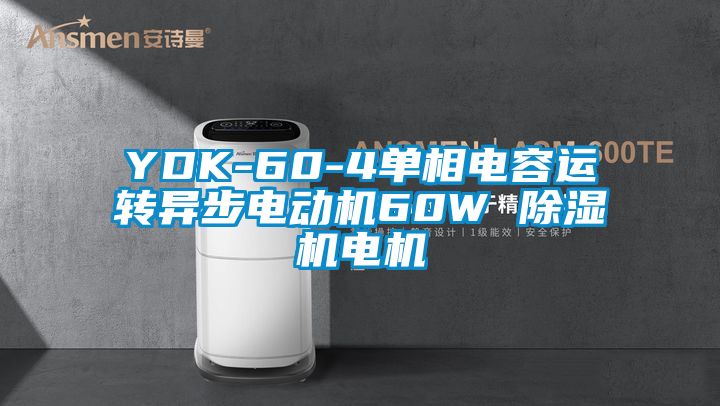 欧美黄色性爱视频网站 YDK-60-4单相电容运转异步电动机60W 除湿机电机