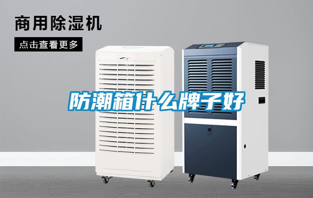 欧美黄色电影在线播放 防潮箱什么牌子好