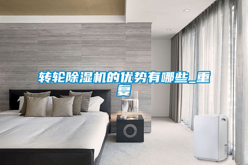 欧美黄色电影在线播放 转轮除湿机的优势有哪些_重复