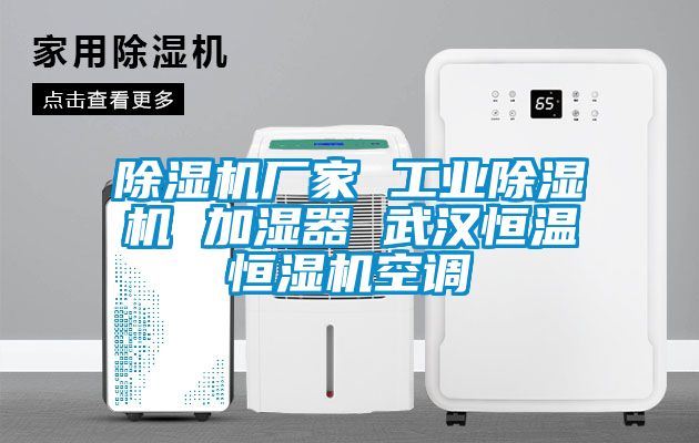 欧美黄色电影在线播放 除湿机厂家 工业除湿机 加湿器 武汉恒温恒湿机空调