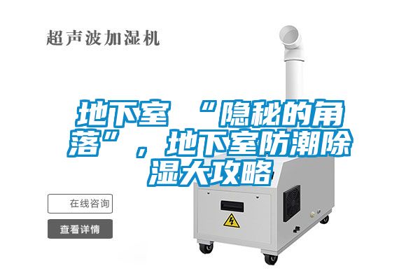 欧美成色手机在线观看 地下室≠“隐秘的角落”，地下室防潮除湿大攻略