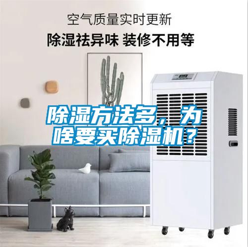 欧美黄色性爱视频网站 除湿方法多，为啥要买除湿机？