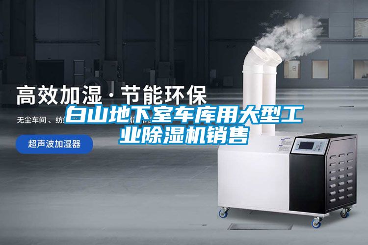 欧美黄色性爱视频网站 白山地下室车库用大型工业除湿机销售