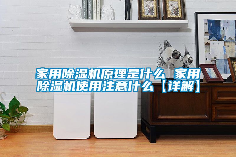 欧美成色手机在线观看 家用除湿机原理是什么 家用除湿机使用注意什么【详解】