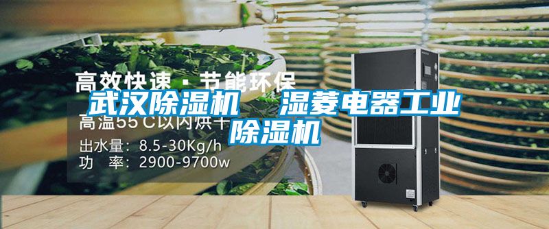 欧美成色手机在线观看 武汉除湿机  湿菱电器工业除湿机