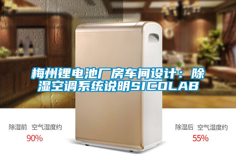 欧美黄色电影在线播放 梅州锂电池厂房车间设计：除湿空调系统说明SICOLAB