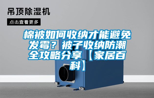 欧美成色手机在线观看 棉被如何收纳才能避免发霉？被子收纳防潮全攻略分享【家居百科】