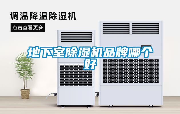 欧美黄色电影在线播放 地下室除湿机品牌哪个好