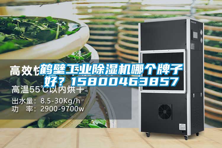 欧美成色手机在线观看 鹤壁工业除湿机哪个牌子好？15800463857
