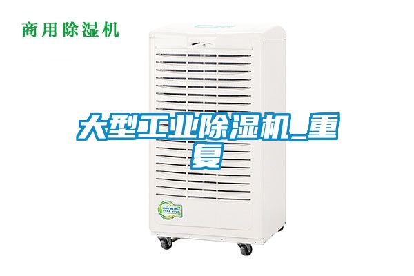 欧美黄色性爱视频网站 大型工业除湿机_重复