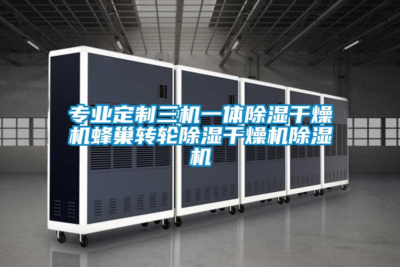 欧美成色手机在线观看 专业定制三机一体除湿干燥机蜂巢转轮除湿干燥机除湿机