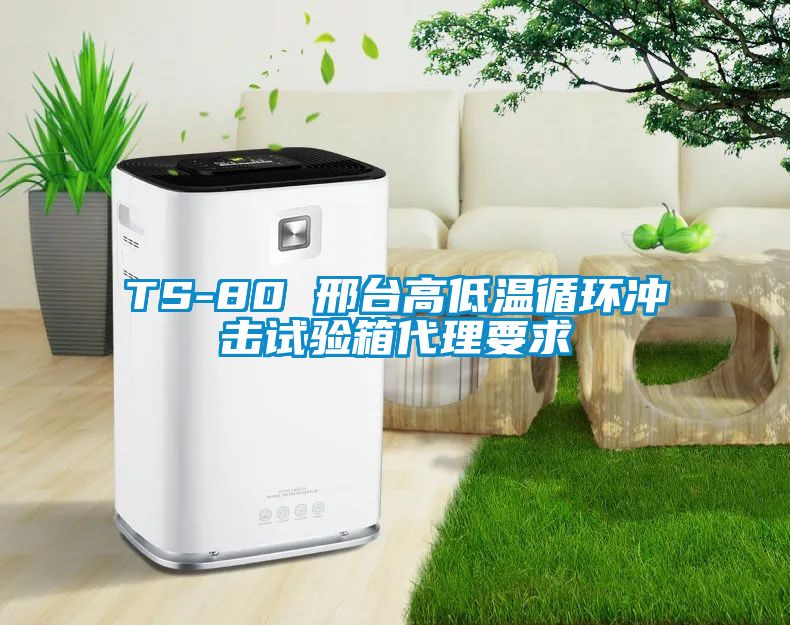 欧美黄色性爱视频网站 TS-80 邢台高低温循环冲击试验箱代理要求