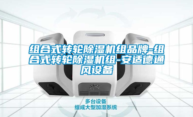 欧美成色手机在线观看 组合式转轮除湿机组品牌-组合式转轮除湿机组-安适德通风设备