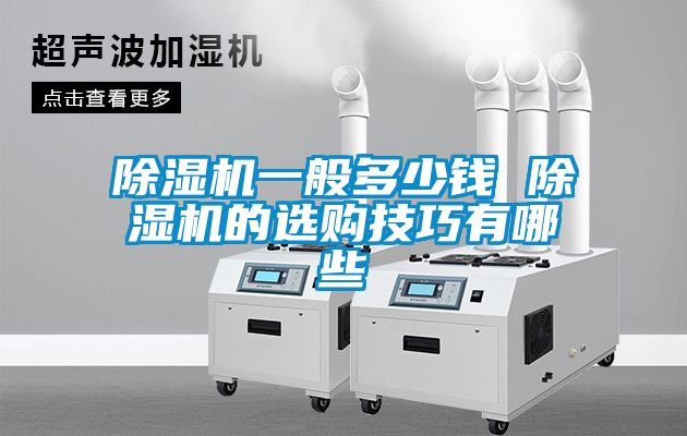 欧美黄色电影在线播放 除湿机一般多少钱 除湿机的选购技巧有哪些