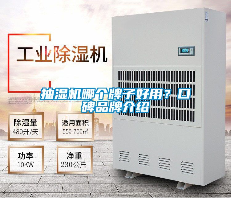 欧美黄色电影在线播放 抽湿机哪个牌子好用？口碑品牌介绍