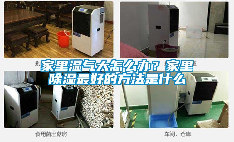欧美成色手机在线观看 家里湿气大怎么办？家里除湿最好的方法是什么