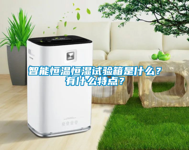 欧美成色手机在线观看 智能恒温恒湿试验箱是什么？有什么特点？
