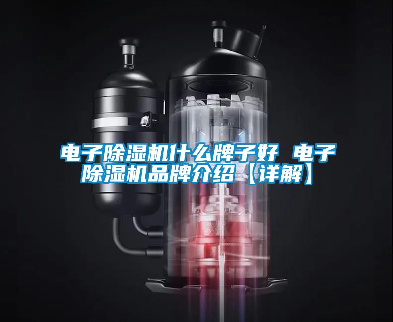 欧美黄色电影在线播放 电子除湿机什么牌子好 电子除湿机品牌介绍【详解】