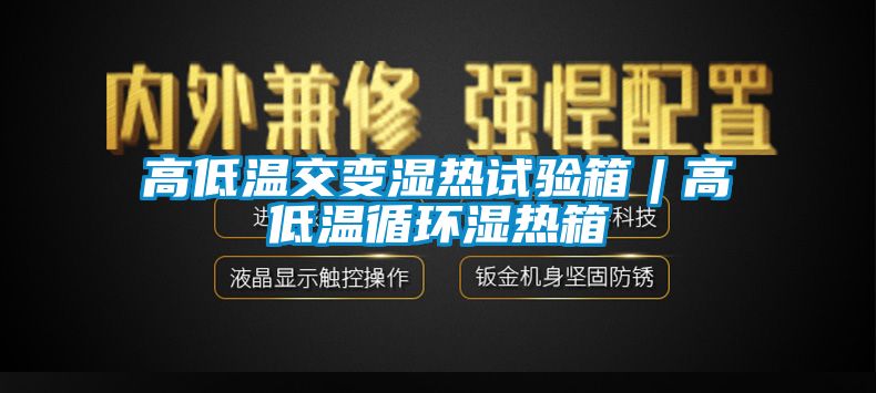 欧美黄色性爱视频网站 高低温交变湿热试验箱︱高低温循环湿热箱