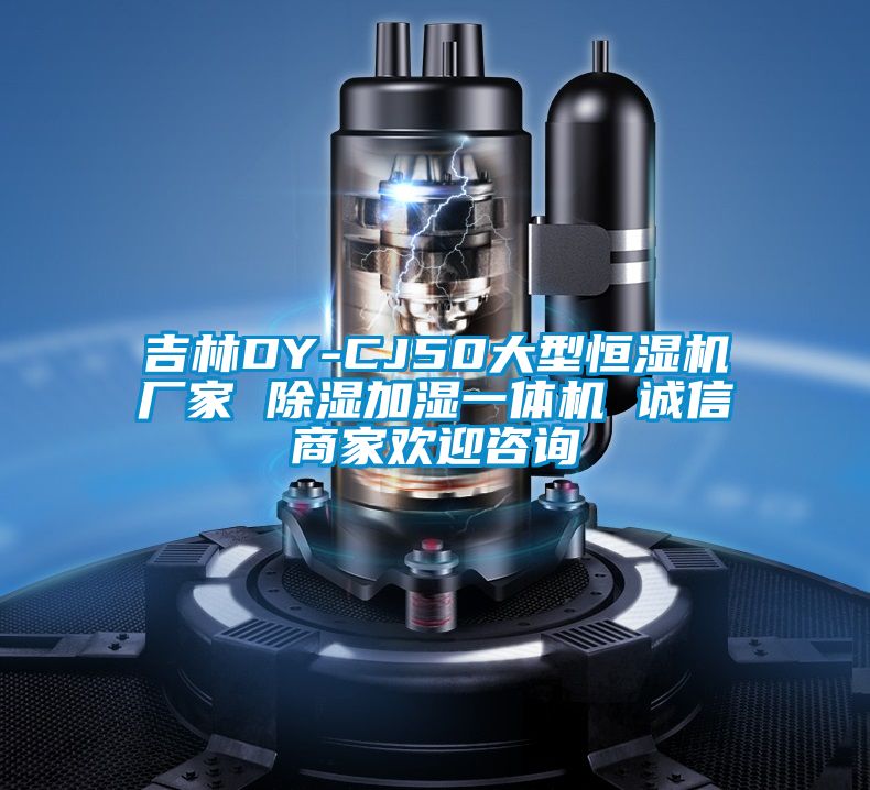 吉林DY-CJ50大型恒湿机厂家 除湿加湿一体机 诚信商家欢迎咨询
