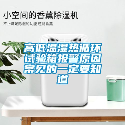 欧美黄色电影在线播放 高低温湿热循环试验箱报警原因常见的一定要知道