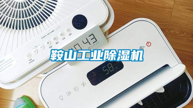 欧美成色手机在线观看 鞍山工业除湿机
