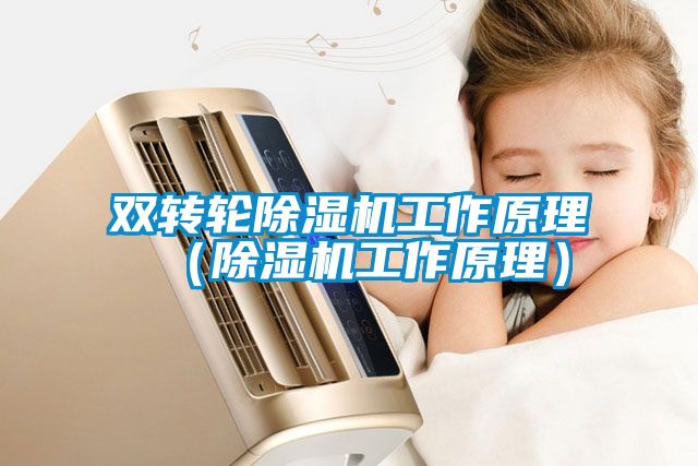 欧美成色手机在线观看 双转轮除湿机工作原理（除湿机工作原理）