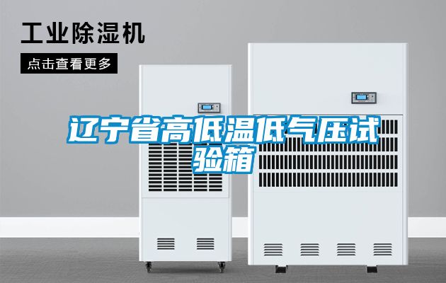 欧美黄色电影在线播放 辽宁省高低温低气压试验箱