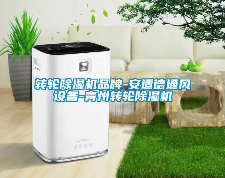 欧美黄色电影在线播放 转轮除湿机品牌-安适德通风设备-青州转轮除湿机