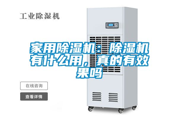 欧美黄色性爱视频网站 家用除湿机：除湿机有什么用，真的有效果吗