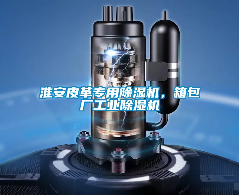 欧美黄色电影在线播放 淮安皮革专用除湿机，箱包厂工业除湿机