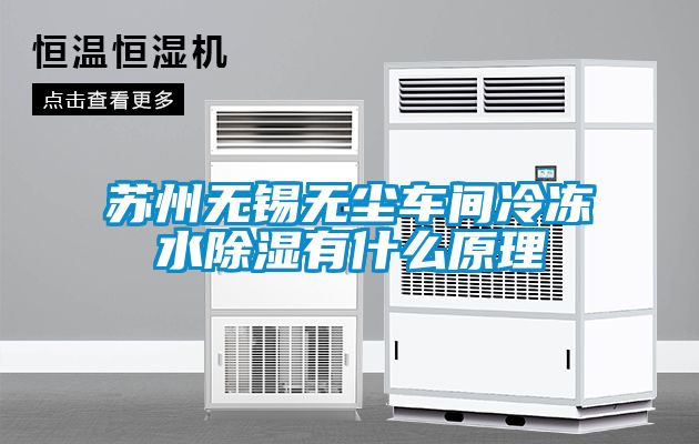 欧美黄色性爱视频网站 苏州无锡无尘车间冷冻水除湿有什么原理