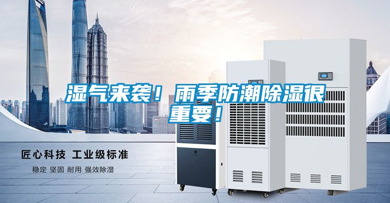 欧美成色手机在线观看 湿气来袭！雨季防潮除湿很重要！
