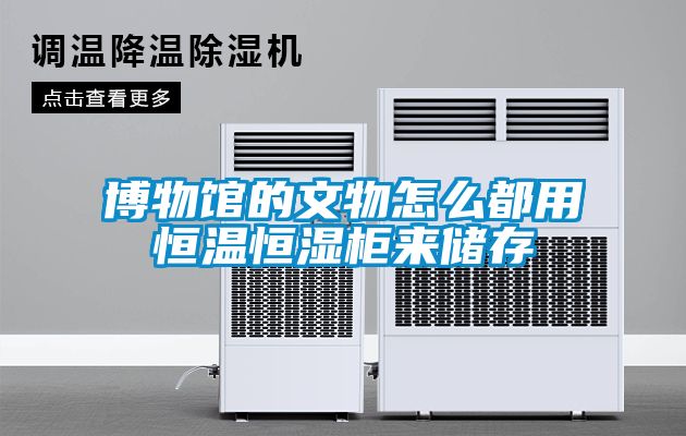 欧美黄色性爱视频网站 博物馆的文物怎么都用恒温恒湿柜来储存