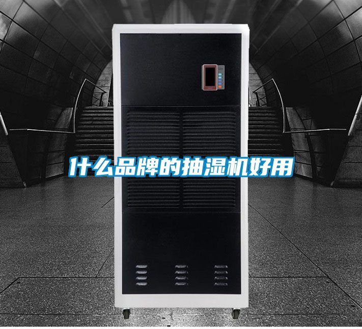 欧美黄色电影在线播放 什么品牌的抽湿机好用