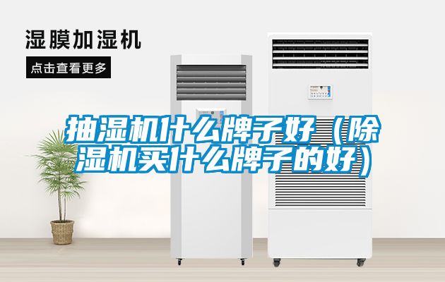欧美成色手机在线观看 抽湿机什么牌子好（除湿机买什么牌子的好）