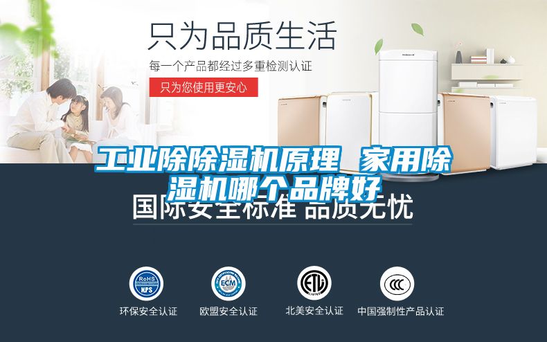 欧美黄色电影在线播放 工业除除湿机原理 家用除湿机哪个品牌好