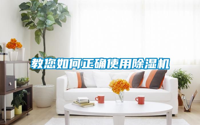 欧美黄色性爱视频网站 教您如何正确使用除湿机
