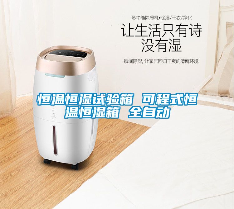 欧美黄色电影在线播放 恒温恒湿试验箱 可程式恒温恒湿箱 全自动