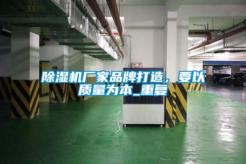 欧美黄色电影在线播放 除湿机厂家品牌打造，要以质量为本_重复