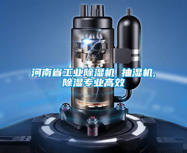 欧美成色手机在线观看 河南省工业除湿机 抽湿机,除湿专业高效