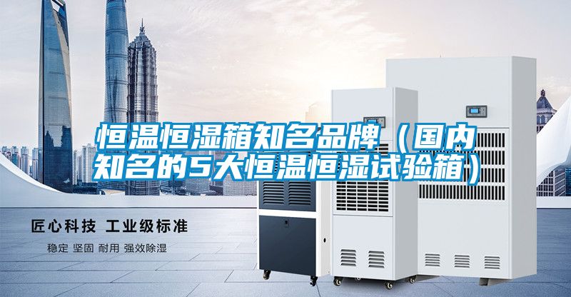 欧美黄色性爱视频网站 恒温恒湿箱知名品牌（国内知名的5大恒温恒湿试验箱）