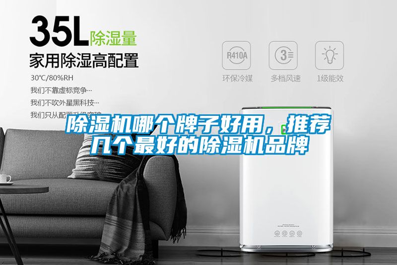 欧美成色手机在线观看 除湿机哪个牌子好用，推荐几个最好的除湿机品牌