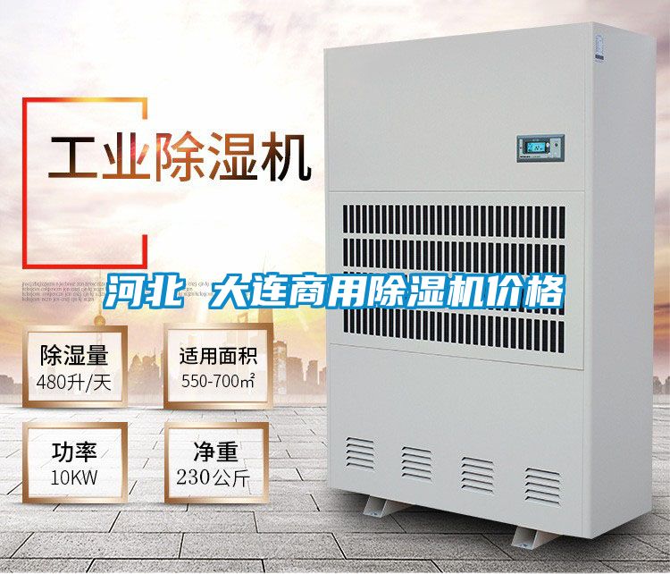 欧美黄色性爱视频网站 河北 大连商用除湿机价格
