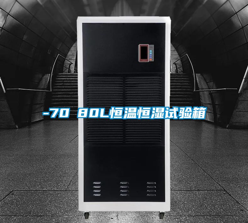 欧美黄色电影在线播放 -70℃80L恒温恒湿试验箱