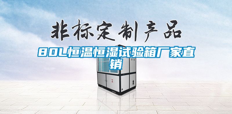 欧美成色手机在线观看 80L恒温恒湿试验箱厂家直销